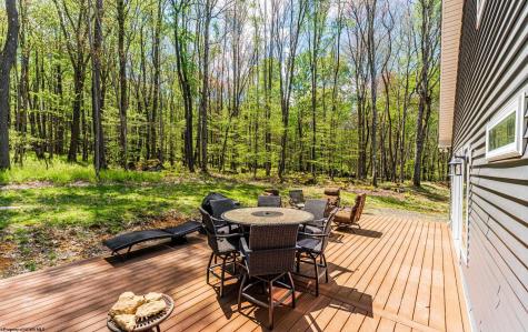 781 N Branch Hollow Bruceton Mills WV 26525