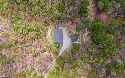 781 N Branch Hollow Bruceton Mills WV 26525