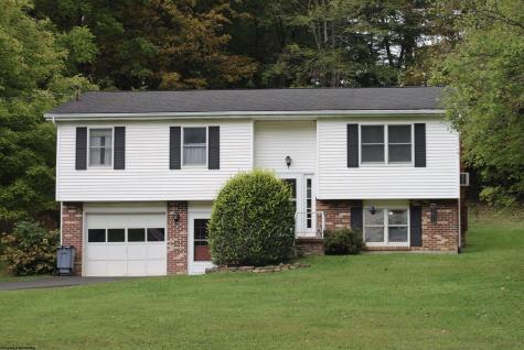 49 Berry Patch Lane Elkins WV 26241