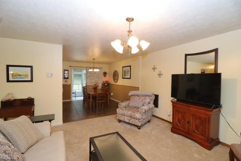 49 Berry Patch Lane Elkins WV 26241