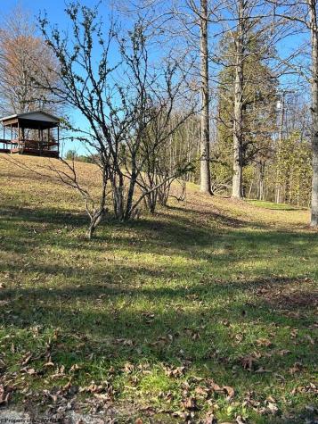31 Waterloo Road French Creek WV 26218
