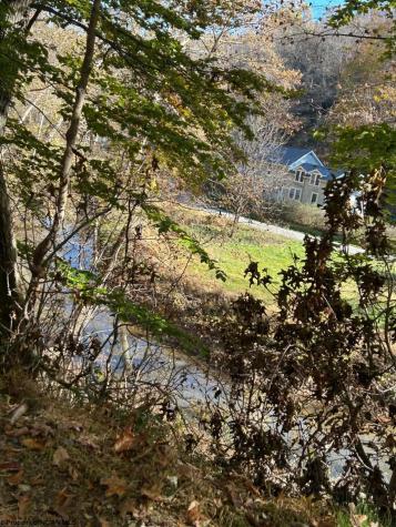 31 Waterloo Road French Creek WV 26218