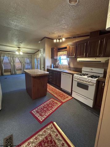31 Waterloo Road French Creek WV 26218