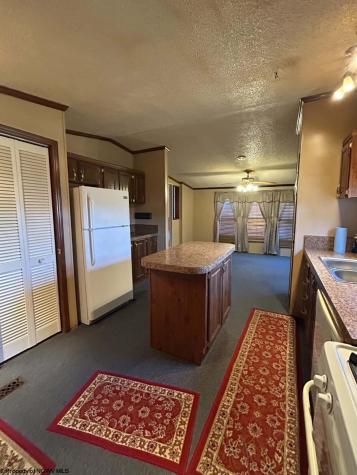 31 Waterloo Road French Creek WV 26218
