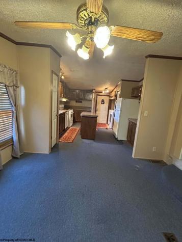31 Waterloo Road French Creek WV 26218