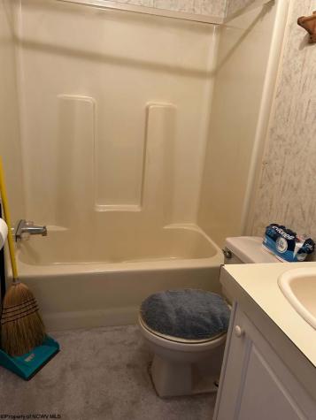 31 Waterloo Road French Creek WV 26218