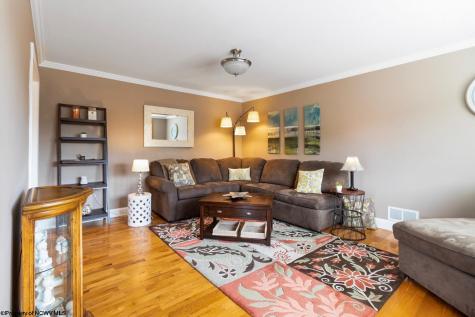 20 Meadow Lane Bridgeport WV 26330