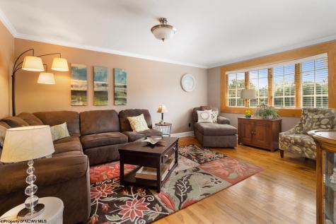 20 Meadow Lane Bridgeport WV 26330