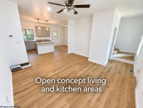 317 Buxton Street Thomas WV 26292