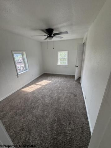 113 High Street Grafton WV 26354