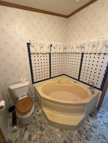 42 Gate Lane Elkins WV 26241