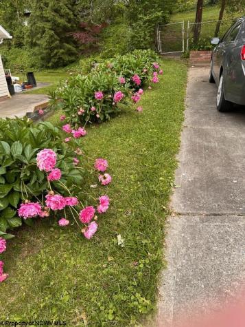 1386 Headlee Avenue Morgantown WV 26505-2674