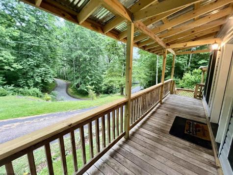 1834 Old Womans Run Sutton WV 26601