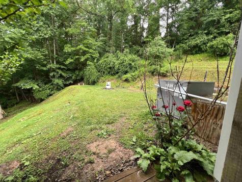 1834 Old Womans Run Sutton WV 26601