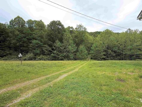 973 Bonnett Hollow Glenville WV 26351