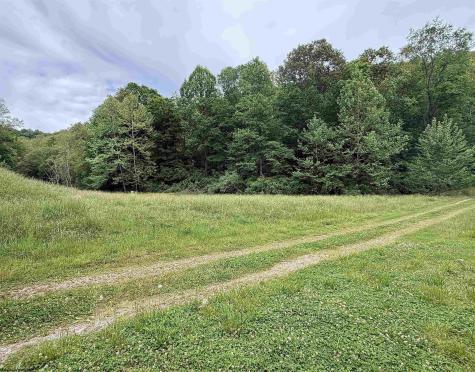973 Bonnett Hollow Glenville WV 26351