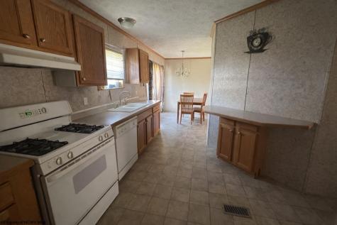 1317 N River Avenue Weston WV 26452