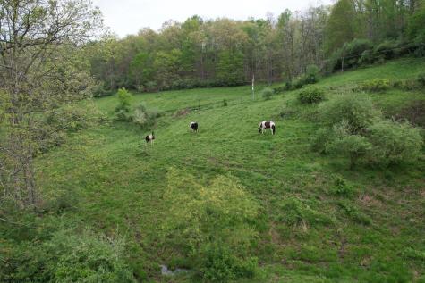 45 Antler Ridge Road Camden WV 26338