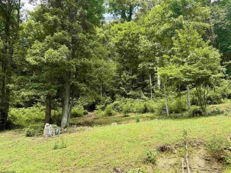 84 Billingsley Hollow Road Fairview WV 26570