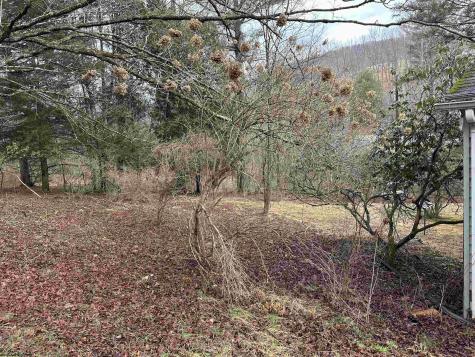 7917 Barbour County Highway Belington WV 26250