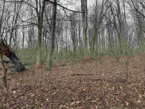 7917 Barbour County Highway Belington WV 26250
