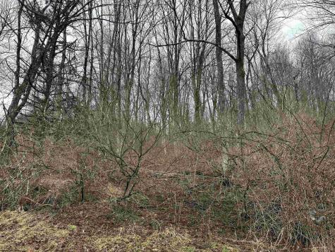7917 Barbour County Highway Belington WV 26250
