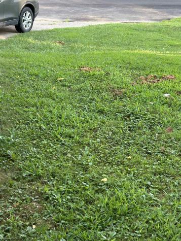 38 Upper Drive Buckhannon WV 26201