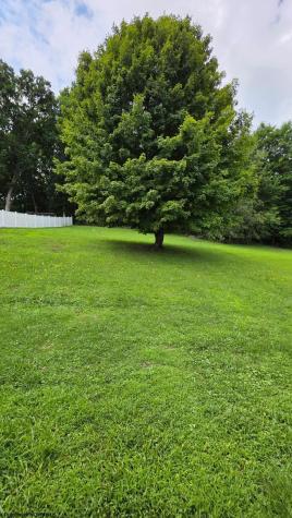 130 Ballah Street Buckhannon WV 26201