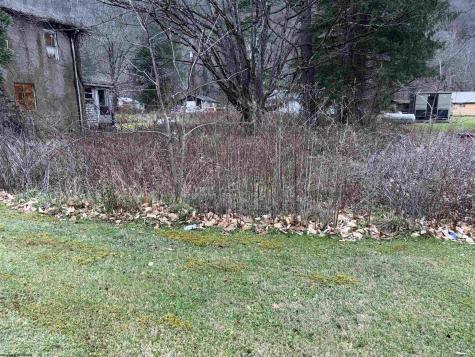 25170 Seneca Trail Valley Head WV 26294