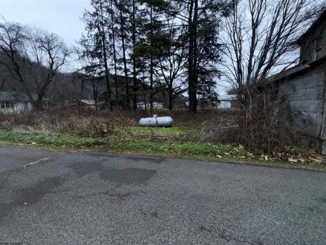 25170 Seneca Trail Valley Head WV 26294