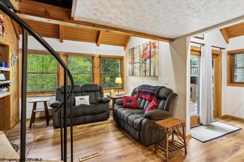 40 Whitetail Way Davis WV 26260