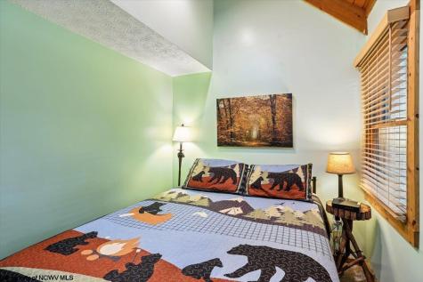 40 Whitetail Way Davis WV 26260