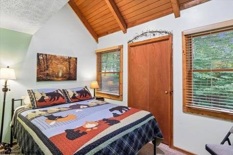 40 Whitetail Way Davis WV 26260