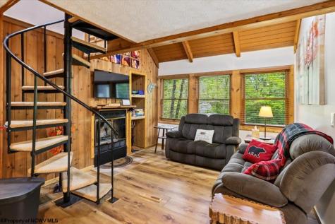 40 Whitetail Way Davis WV 26260
