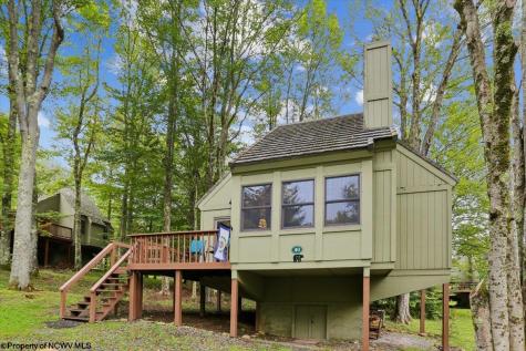40 Whitetail Way Davis WV 26260