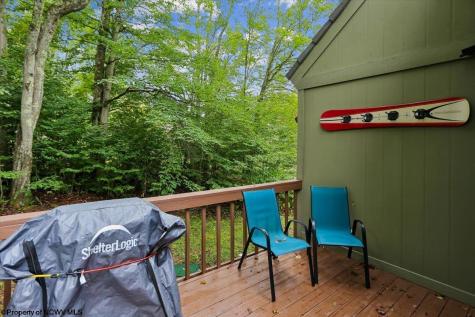 40 Whitetail Way Davis WV 26260