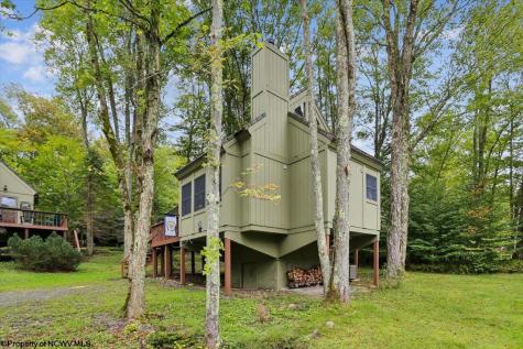 40 Whitetail Way Davis WV 26260