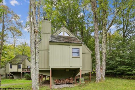 40 Whitetail Way Davis WV 26260