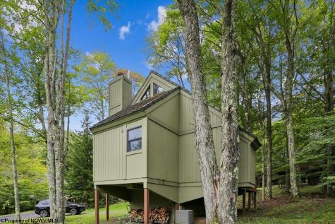 40 Whitetail Way Davis WV 26260