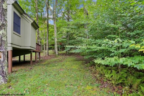 40 Whitetail Way Davis WV 26260