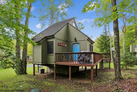 40 Whitetail Way Davis WV 26260
