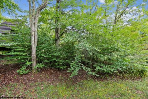 40 Whitetail Way Davis WV 26260