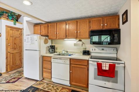 40 Whitetail Way Davis WV 26260