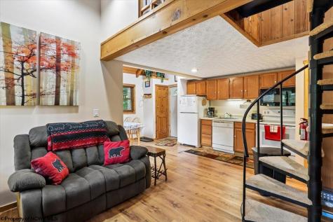 40 Whitetail Way Davis WV 26260