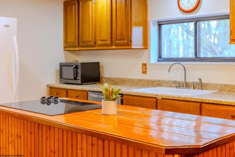 576 Hemlock Circle Terra Alta WV 26764