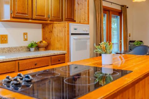 576 Hemlock Circle Terra Alta WV 26764