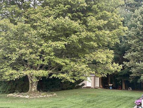54 S Grove Avenue Reedsville WV 26547
