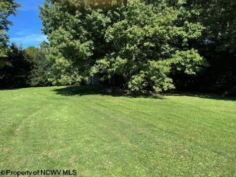 54 S Grove Avenue Reedsville WV 26547
