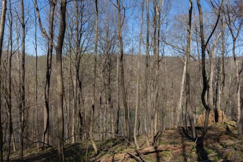 38 E Wind Trail Morgantown WV 26508