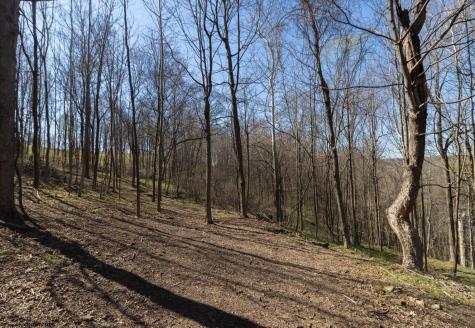 38 E Wind Trail Morgantown WV 26508